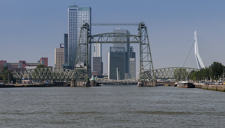 Rotterdam, hitch, cao ốc, Bridge, maastoren, lưới mới, lưới