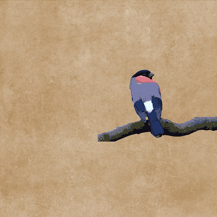 bird, blue, plumage, branch, drawing