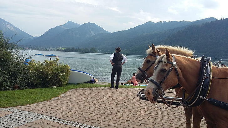 馬, 湖, 風景, 山