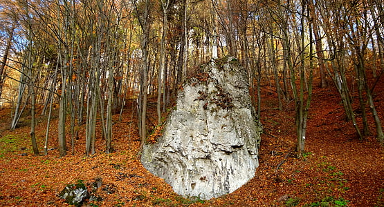 Cha national park, Ba Lan, cảnh quan, mùa thu, đá, được bao quanh bởi thiên nhiên, cây