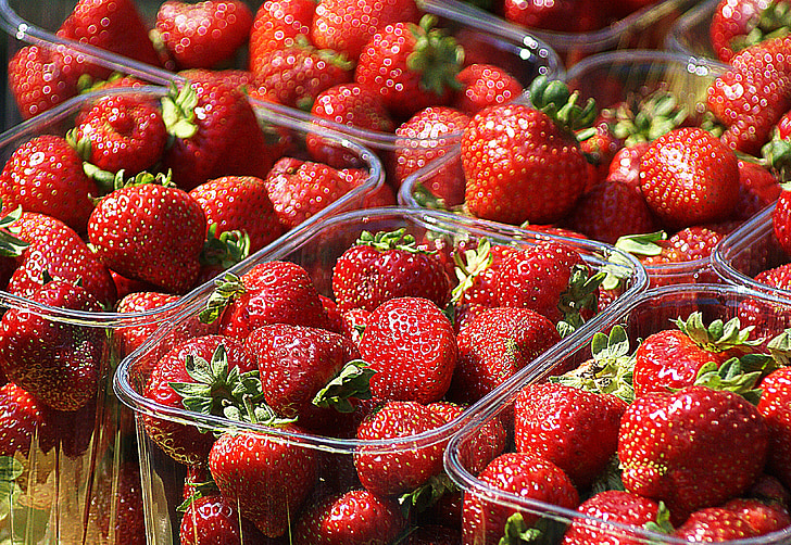 jordgubbar, frukt, Mogen, en samling av, jordbruk, odling av, färskhet