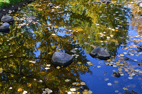 Stream, reflektion, träd, Sky, blå, vatten, våt