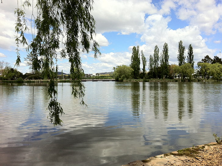 canberra, lake burley griffin, australia, water, trees, nature, outdoor