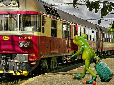 frog, farewell, travel, funny, railway station, fun, go away