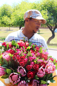 lillede müüja, lilled, tõusis, kimp Amarylistega, punane, roosa, aroom