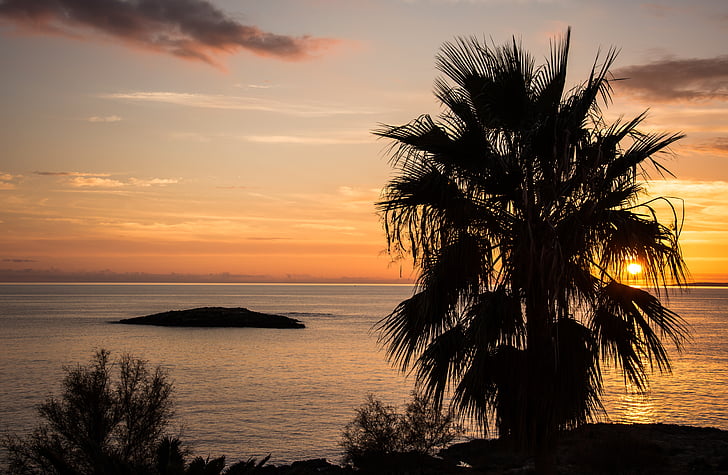 zon, Mallorca, zee, hemel, vakantie, water, Middellandse Zee