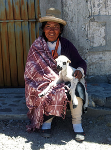 peruvianske, kvinde, Peru, Andesbjergene, lam, sidde, gamle