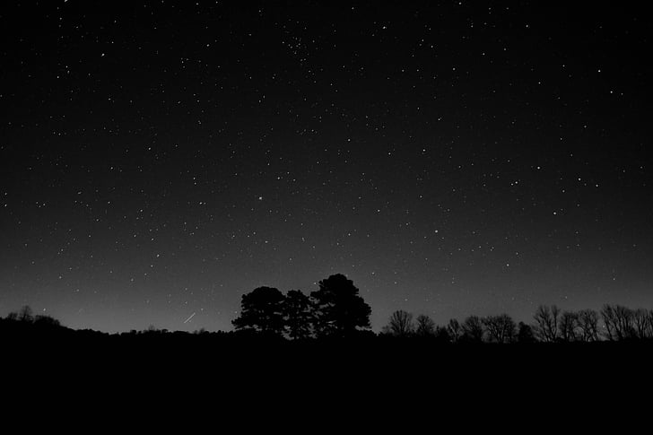 Gamta, siluetas, naktį, dangus, žvaigždės, krintanti žvaigždė, medžiai