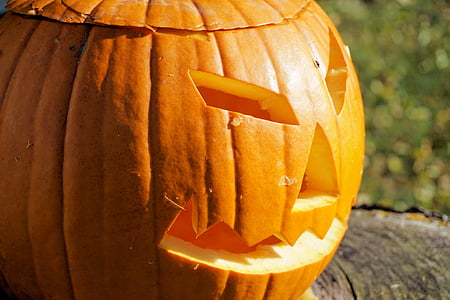 pumpkin, halloween, autumn, decoration, deco, autumn decoration, decorative squashes