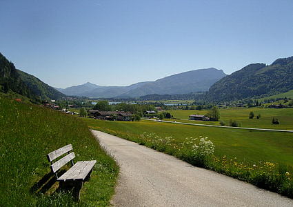 walchsee, 景观, 前景, 奥地利, 草甸, 路要走, 徒步旅行