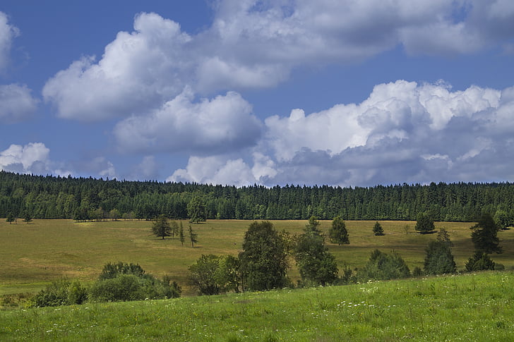clouds, sky, landscape, blue, nature, tree, meadow