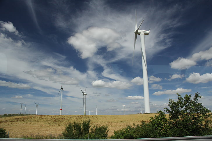 summer, wind farm, meadow