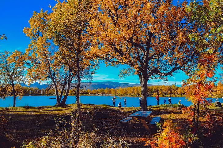 Norveška, jesen, jesen, krajolik, slikovit, jezero, vode