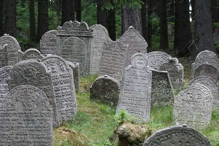 Cimitero, ebraico, tomba, pietra, foresta