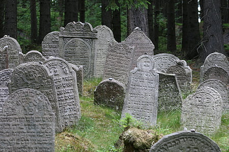 cemitério, judeu, túmulo, pedra, floresta