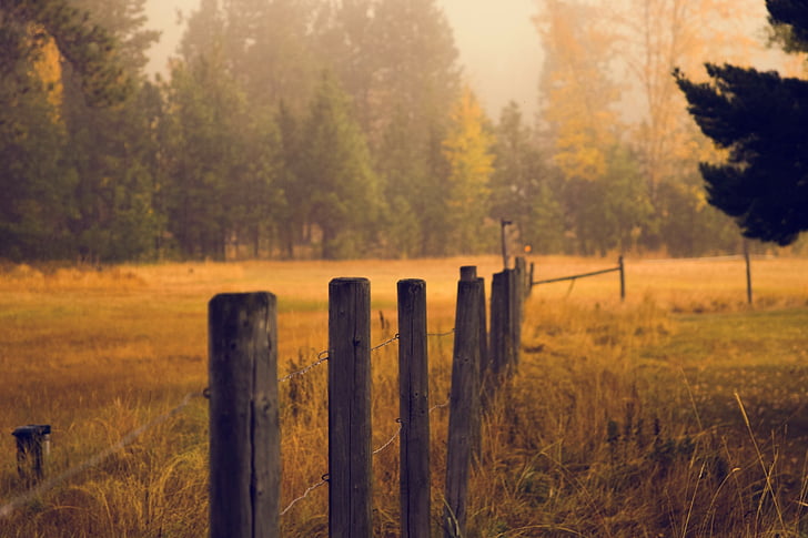 fence, pasture, grass, meadow, field, posts, wooden