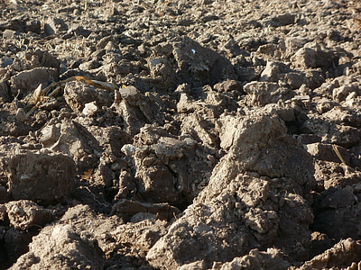 ploughed, field, soil, agriculture, rural, farming, land