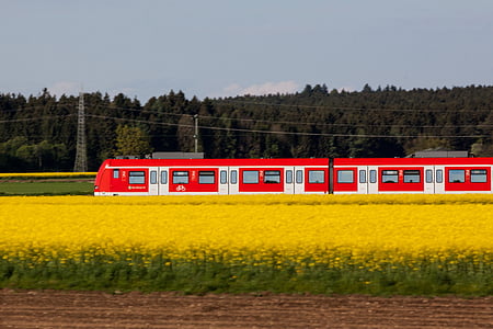 Liiklus, transpordi, s-Bahni, punane, rongi, Mobiilne, Travel