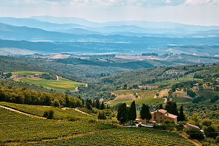 Castellina, zielony, Strona główna, krajobraz, góry, dekoracje, drzewa
