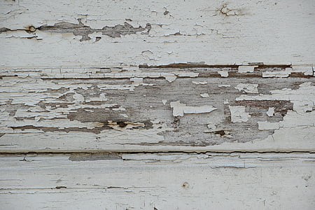 木材, 白色, 灰色, 老, 墙上, 特写, 宏观