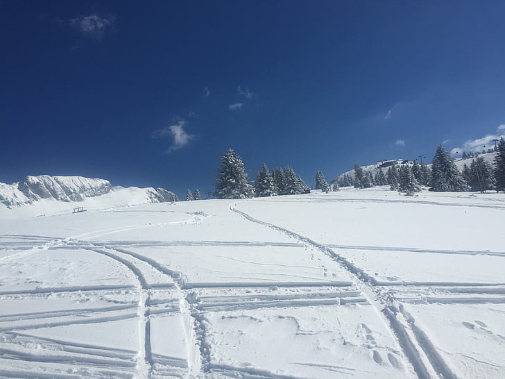 muntanya, neu, l'hivern, natura, cobert de neu, pistes d'esquí