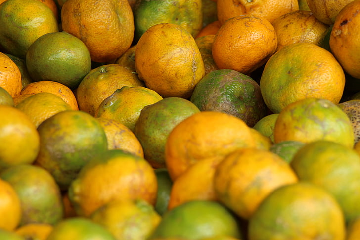 owoce, pomarańczowy, Caruaru, Targi, rolnik, Recife, Pernambuco