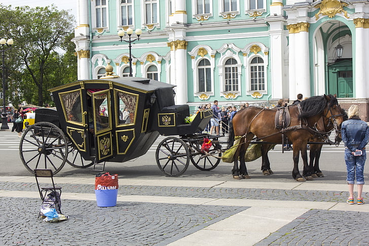 Rusija, treneris, turizmo, Sankt-Peterburgas, arklys