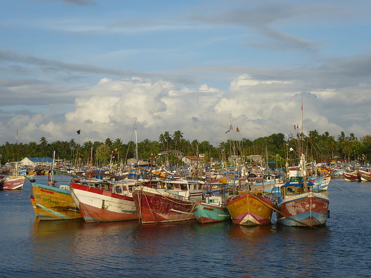 łodzie, łodzie rybackie, Sri lanka, Port, kolorowe