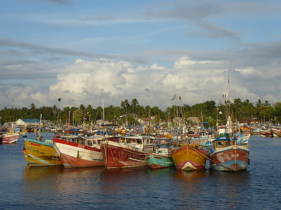 boats, fishing boats, sri lanka, port, colorful