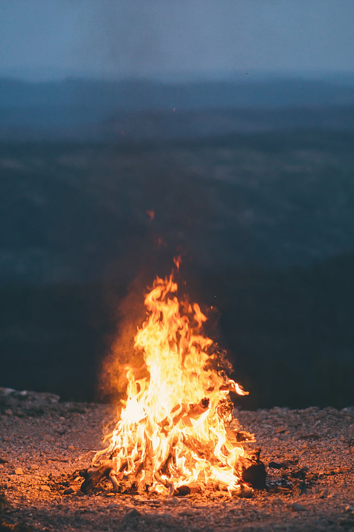 firewoods, tulekahju, päevasel ajal, leek, põletada, lõke, lõkke