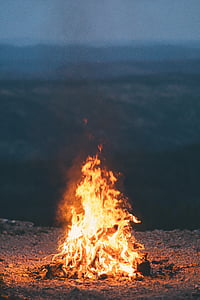 木头, 消防, 白天, 火焰, 烧伤, 篝火, 篝火