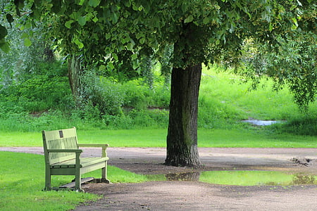 park bench, park, rest, trees, finland, helsinki, sit