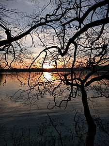 solnedgang, Lake, treet, natur, vann, kveld, landskapet