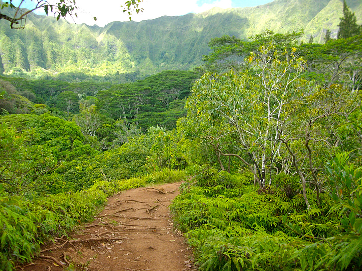 Hawaii, randonnée pédestre, chemin d’accès, voie de, sentier, randonnée, colline