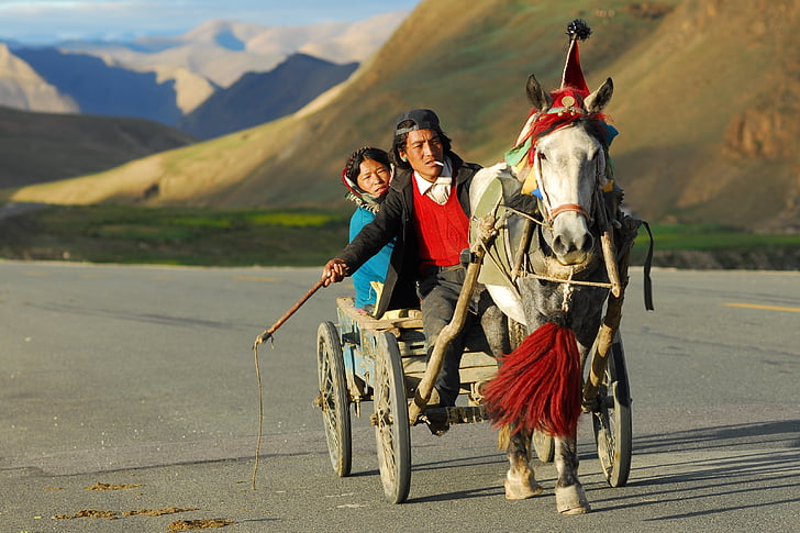 Tibet, transport, paysage, autocar, convivialité, transport, adulte