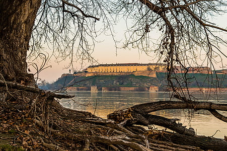 Petrovaradin, tvirtovė, Dunojaus, kraštovaizdžio, Serbija