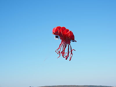 dragons, octopus, squid, red, kite flying, autumn, sky