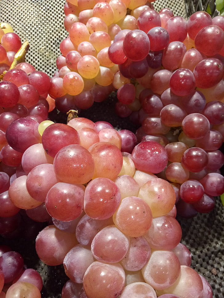 grape, fruit, summer