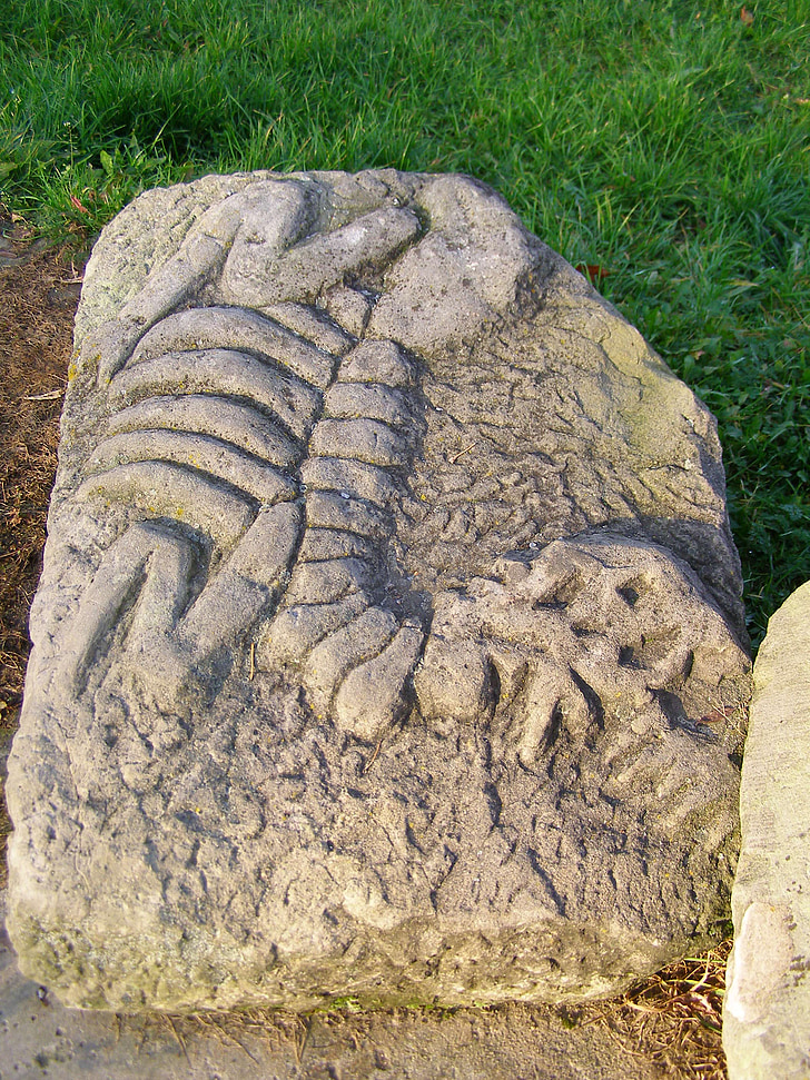 fossila, skulptur, dinosaurie, sten