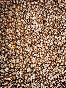 grãos de café, café fresco, Tanzânia, África, agricultura, jardim fresco, café