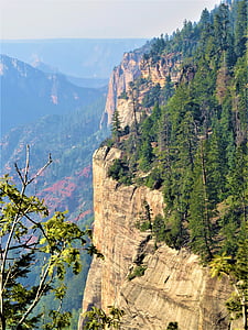 North rim grand canyon, vandring, natursköna, grön