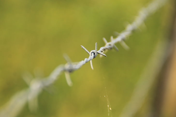 barbed wire, barb, wire, fence, barbed, sharp, barrier