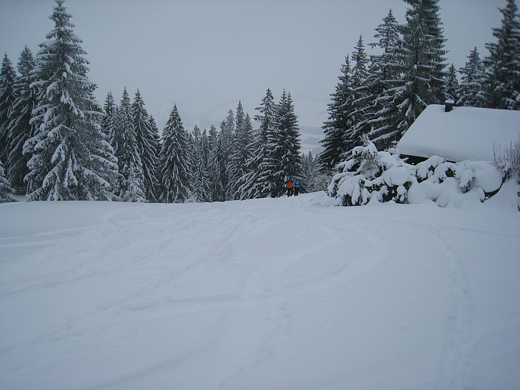 allgäu, backcountry skiiing, forest, snow, hut, winter, deep snow