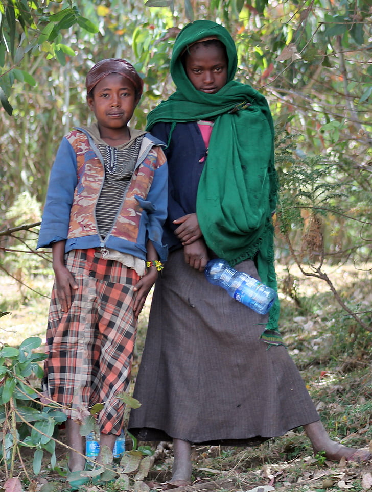 shepherdesses, Entoto, Addis Abeba, Ethiopië, kinderen, arme, ellende