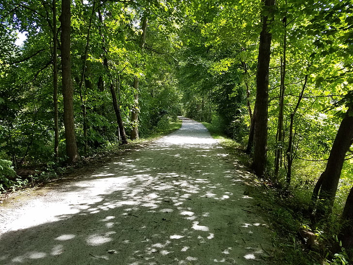 Trail, Park, wandeling, Cuyahoga valley Nationaalpark