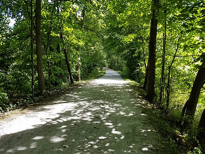 sendero, Parque, caminata, Parque Nacional del Valle de Cuyahoga