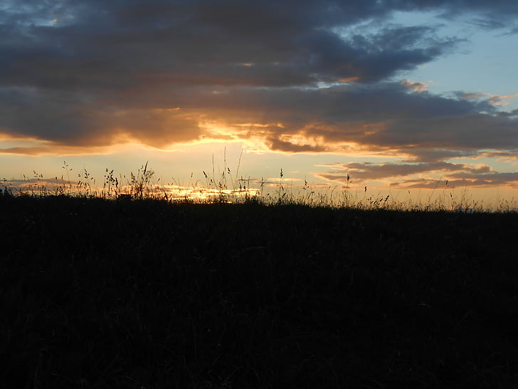 solnedgång, Niederrhein, abendstimmung, äng, gräs