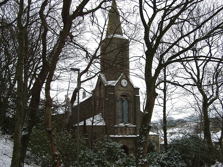 kirik, külm, talvel, puud, maastik, lumi, lumine