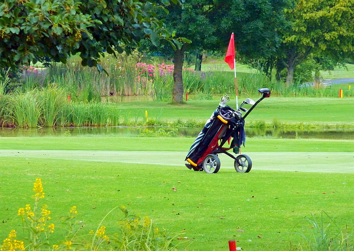 Golf caddy, Golf, Grün, Caddy, Golf-carts, Sport, Golfspieler