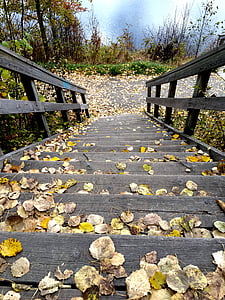 Skellefteå, Nordanå, escalera, otoño, agua, Suecia